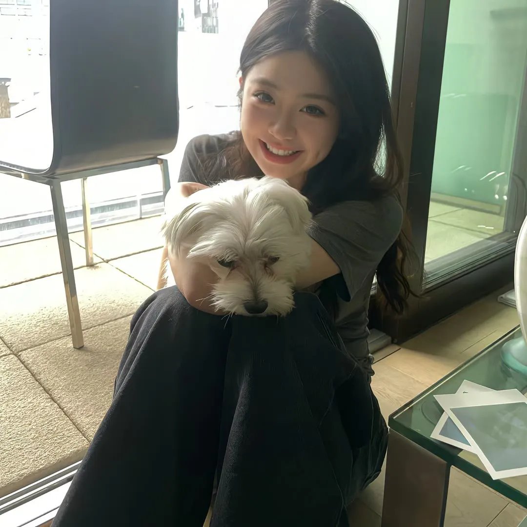 呆呆精灵与女巫城堡